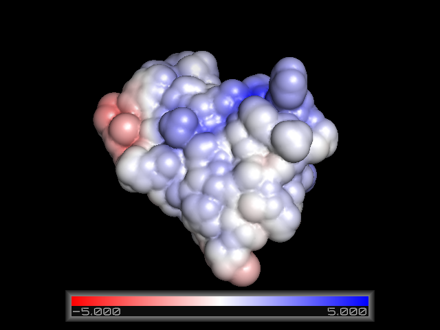 ../../_images/fas2-surf-pymol.png