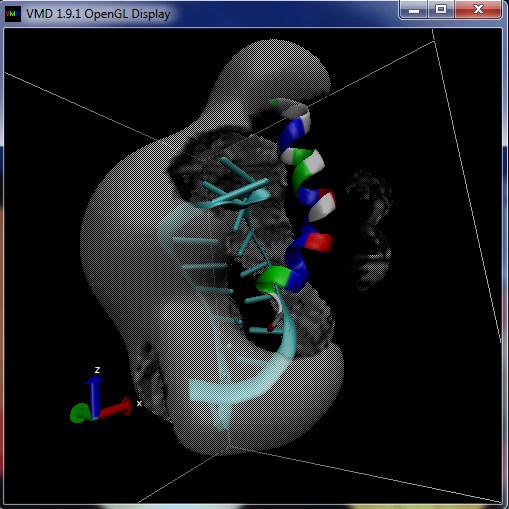 ../../_images/rna-qdens-vmd.jpg